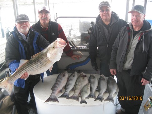 Nice Striped Bass